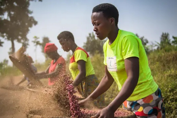 Responsible Consumption and Production