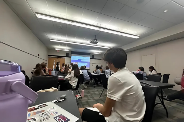 Peace, Justice, and Strong Institutions