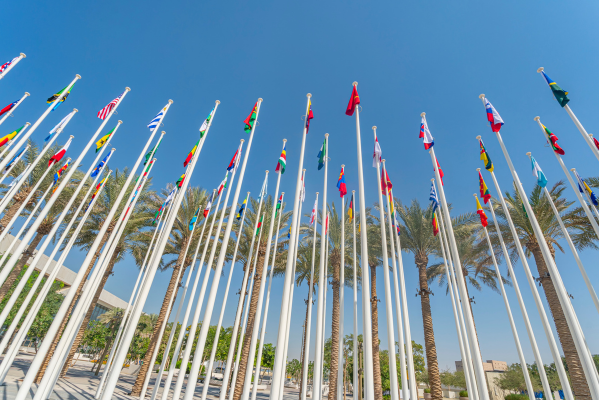 Partnerships for the Goals